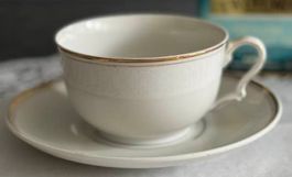 Antike Tasse Excelsior & Austria – um 1900, Sammlerstück