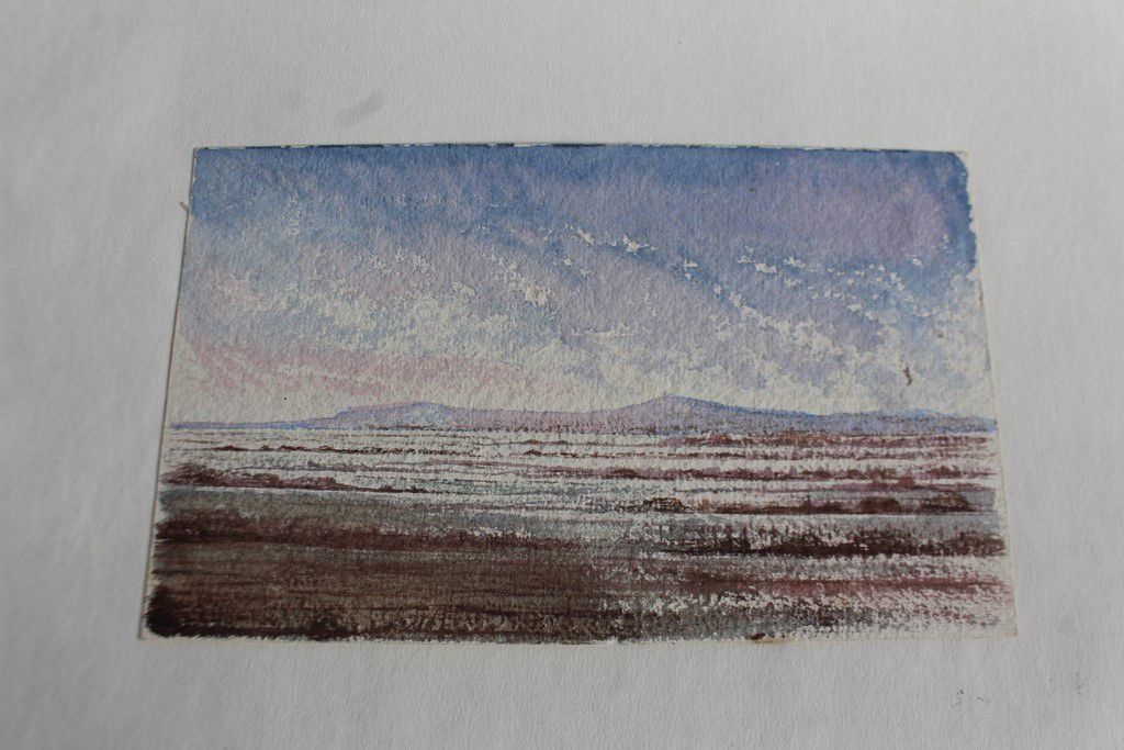 Gemälde: Aquarelles Alpes valaisannes XIXe siècle – Gebraucht aus Vandoeuvres von Dom-Tom 6