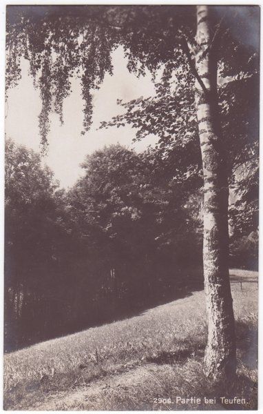 Cartoline postali: Partie bei Teufen, geschätzt 1910 – Usato da Frauenfeld venduto da POML