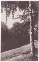 Partie bei Teufen, geschätzt 1910