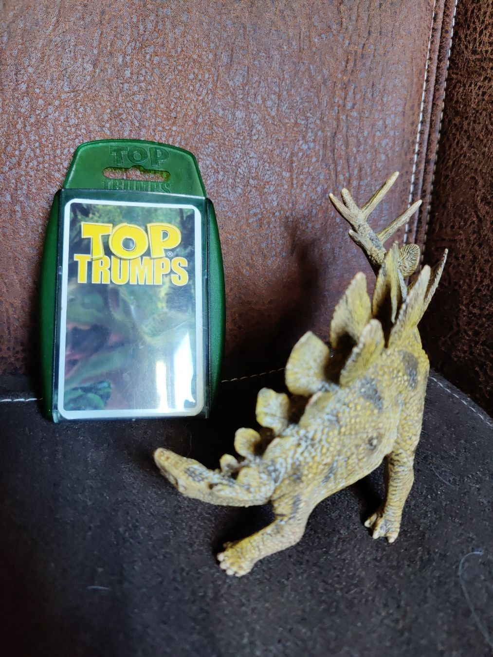 Schleich Giocattoli: Dino set Top Trhumps Stegosaurus – Usato da Degersheim venduto da HariOm 3