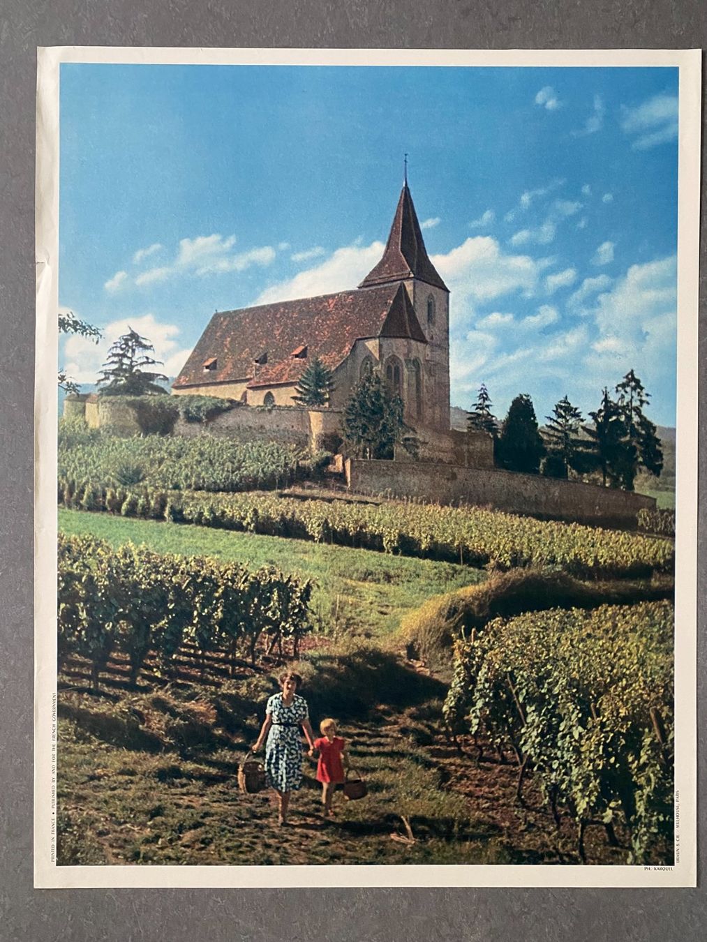 Foto & Immagini: Original Vintage Poster - Rebberge / Vendanges – Usato da Zürich venduto da jesulin05