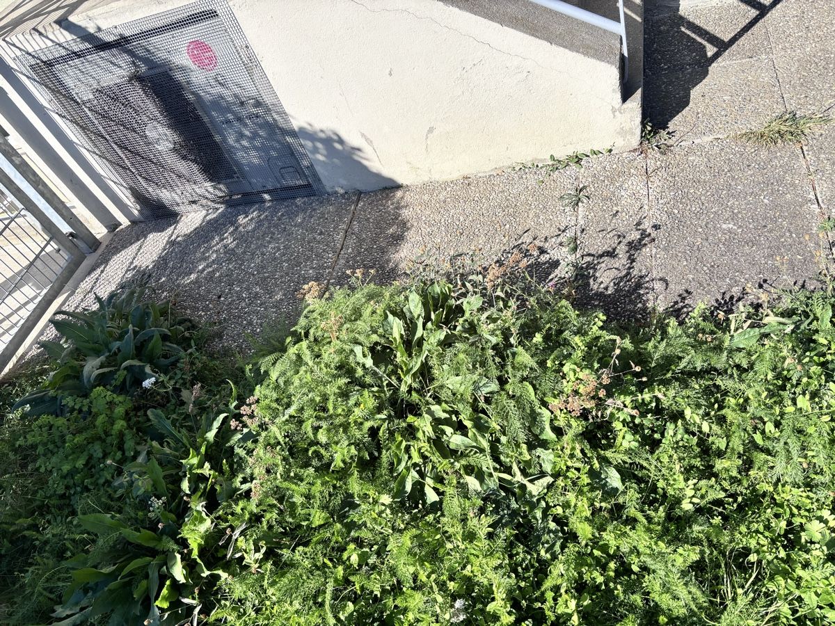 Rivestimenti per pavimenti: Waschbetonplatten  – Usato da Solothurn venduto da Bagi1989 2