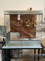 Terrarium 80x45x80 avec sa table en support