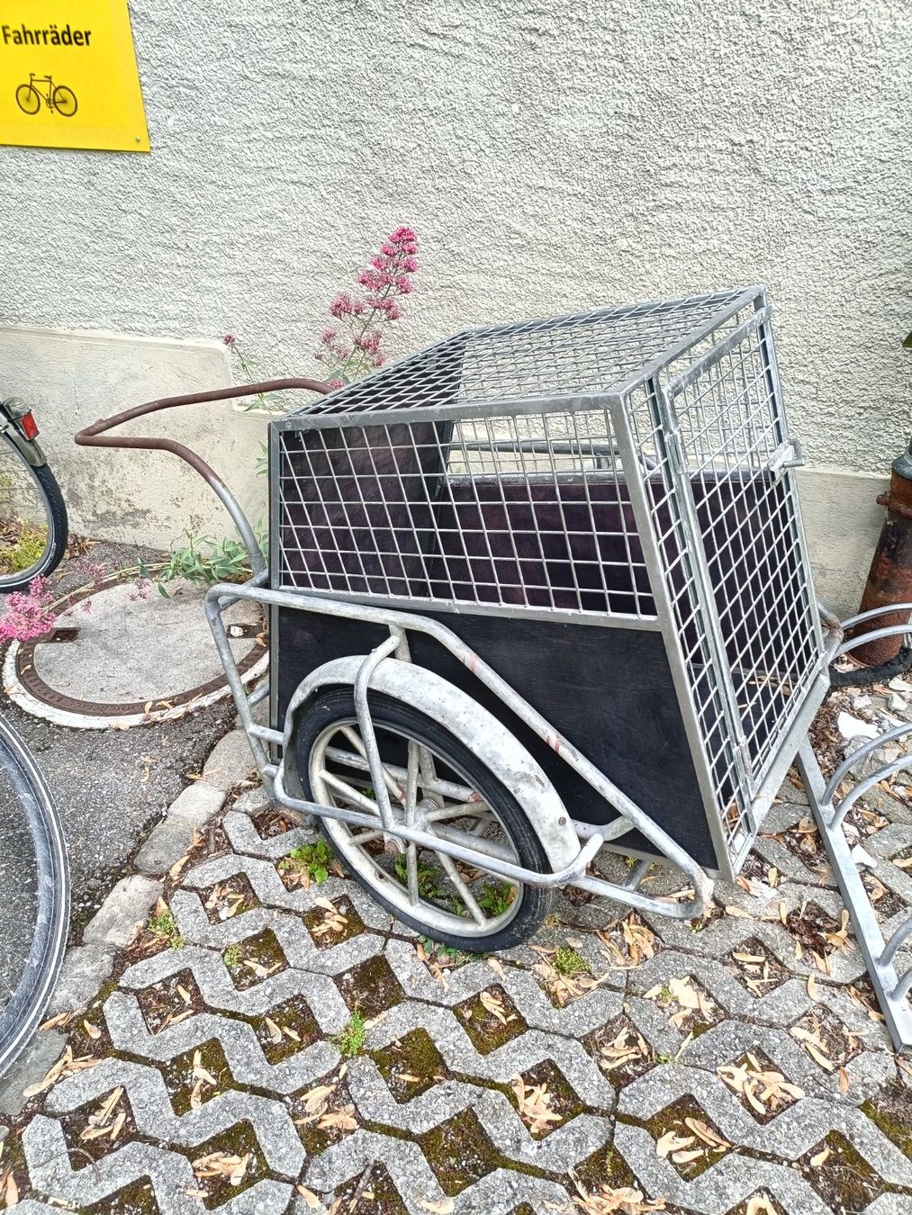 Gabbie, trasporto & Sicurezza: Velo Anhänger mit Hundebox – Usato da Köniz venduto da Brockenreich 4