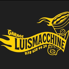 Profile image of LuismacchineSagl
