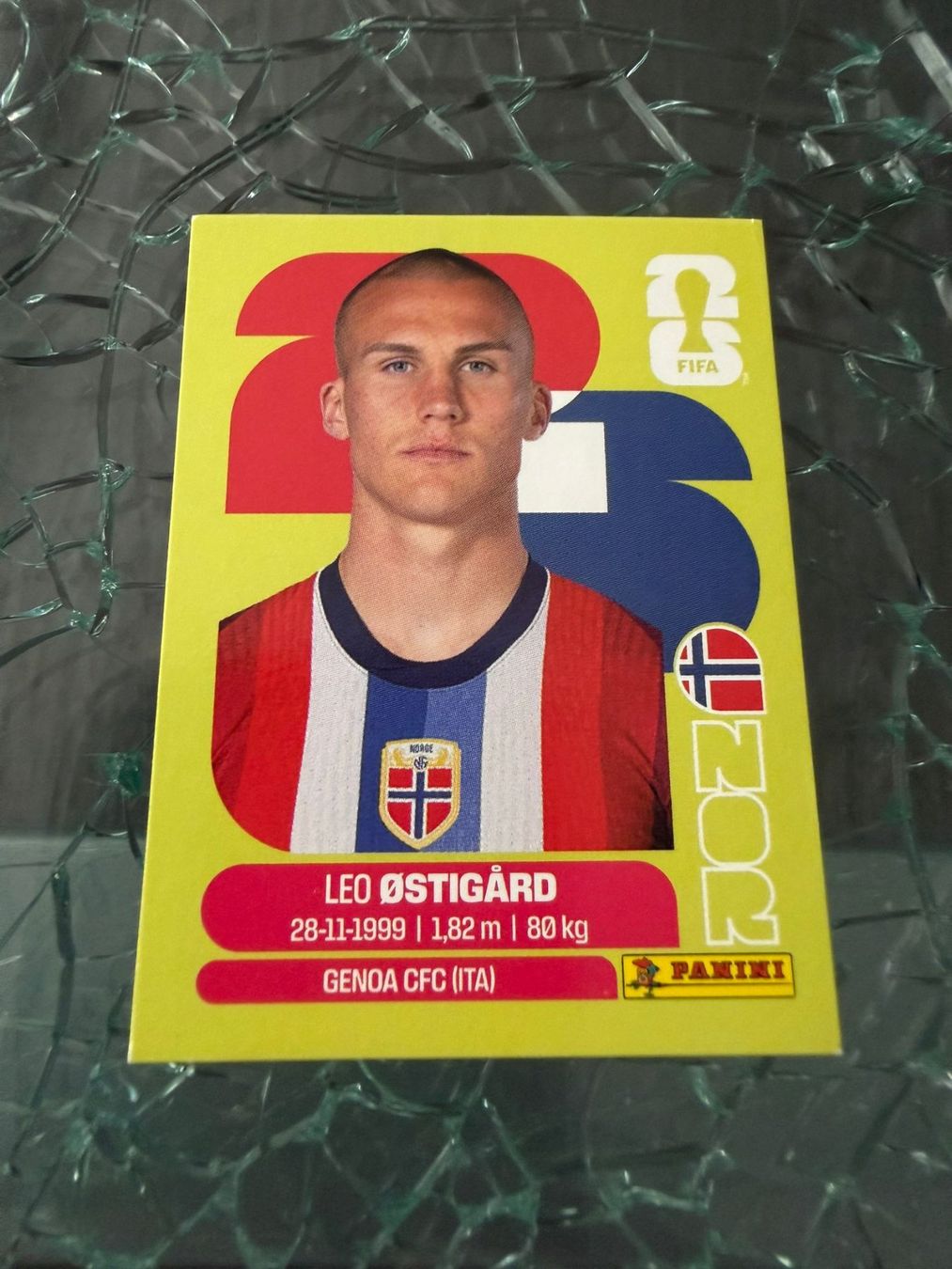 Panini Carte collezionabili: WM 2026 - Panini - Leo Ostigard - NOR 4 – Usato da Pfäffikon ZH venduto da Marcodesi76