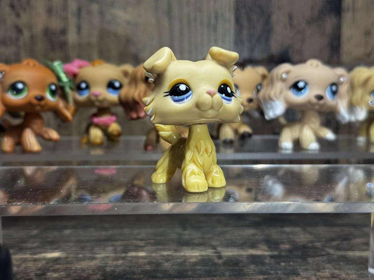 Hasbro Spielzeuge: Littlest pet shop Collie – Gebraucht aus Luzern von Maja.C