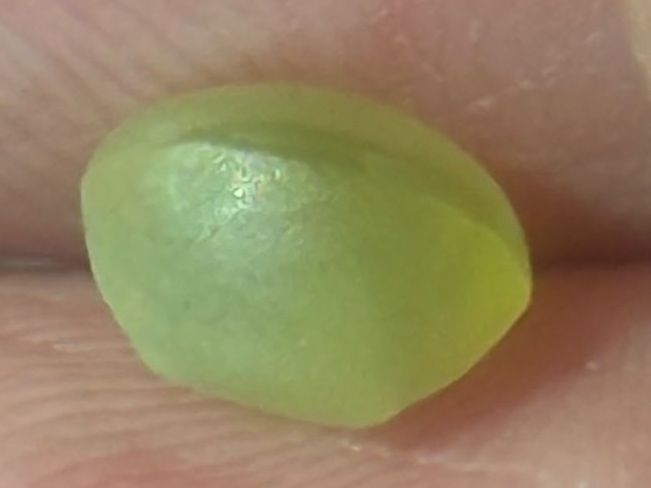 Pietre preziose: CHRYSOBERYLL  Cat'seye  cymophane  gelb  2.06cts – Nuovo e nell'imballaggio originale da Seftigen venduto da tigers12 4