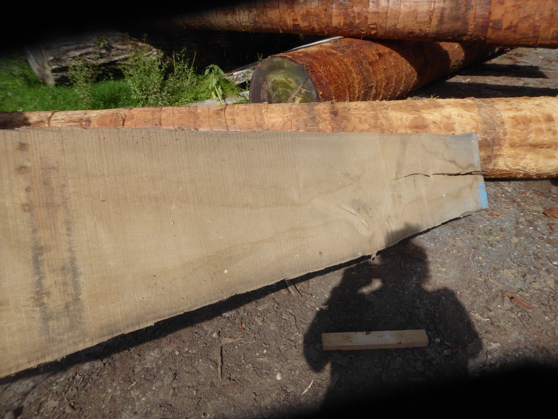 Articoli in legno: Eschenbrett 8 cm – Nuovo (secondo la descrizione) da Sumiswald venduto da Hennri1 1