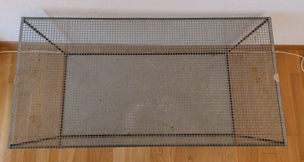 Nagerheim aus Glas mit Gitterabdeckung Kaufen auf Ricardo