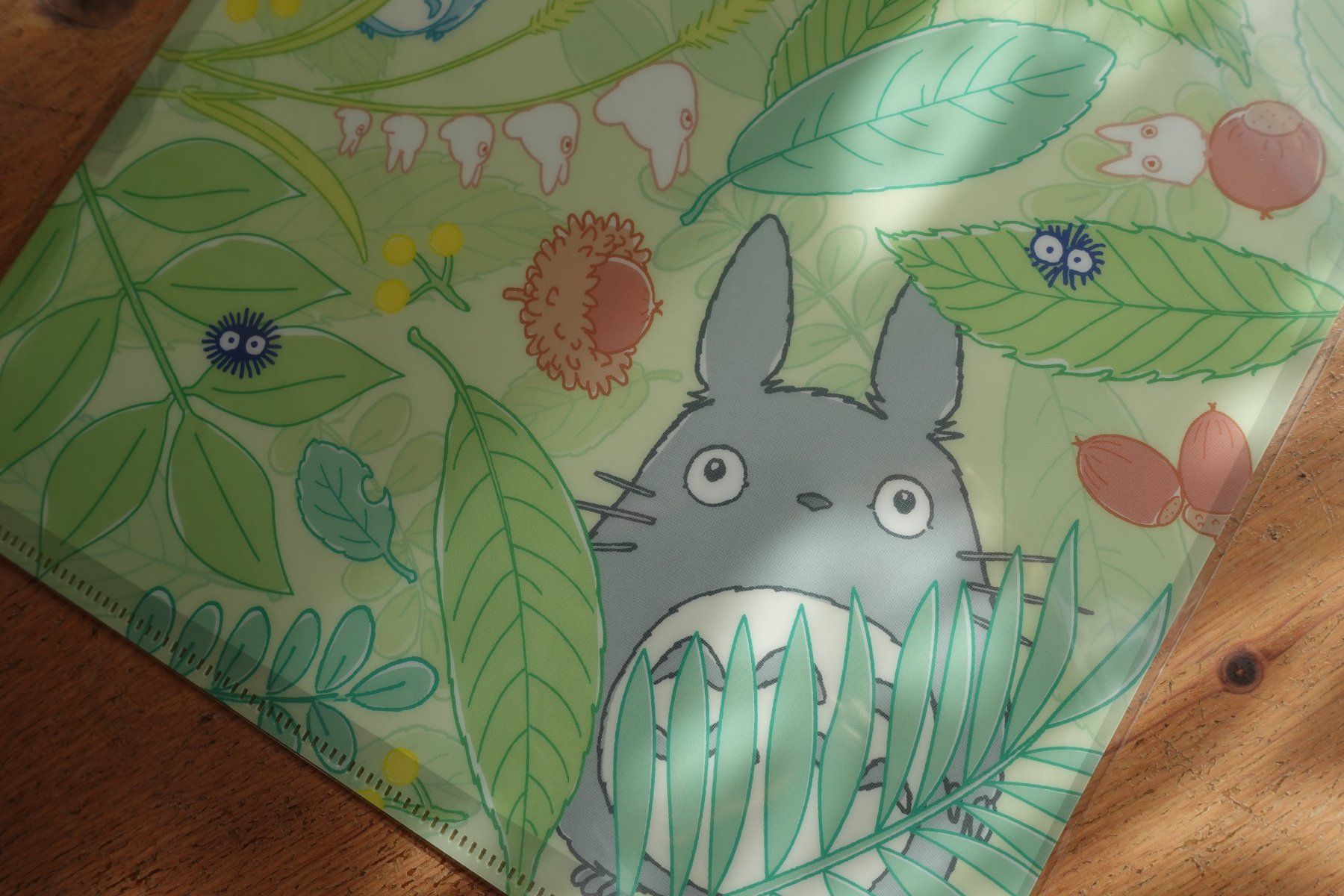 Valigie & Borse: Ghibli Totoro - Clear File Mäppli – Nuovo (secondo la descrizione) da Ettiswil venduto da maimaiswiss 3