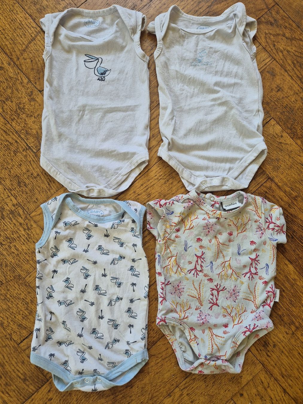 Lotti & Set di vestiti: 4 Body Bébé Manches Courtes taille 62/68 – Usato da Yverdon-les-Bains venduto da somiou