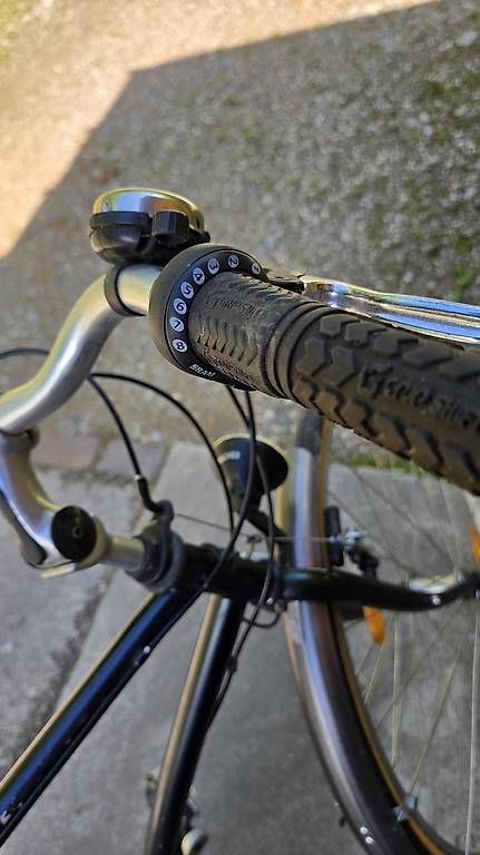 Biciclette: Tourenfahrrad Wheeler – Usato da Monteggio venduto da trasfermikel 2
