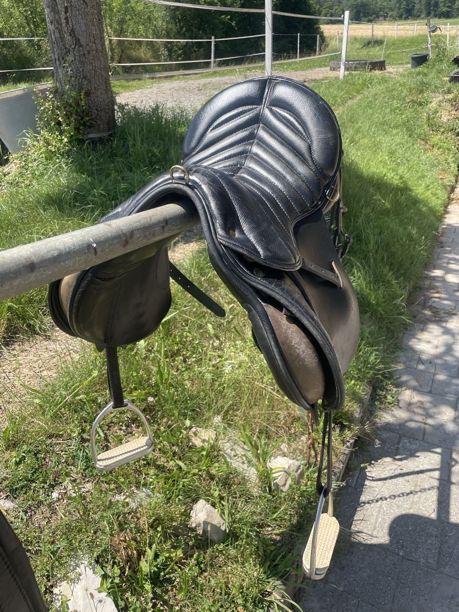 Selle & Accessori: Rancher Sattel  Spyrig – Usato da Mönthal venduto da Akirebi66 2