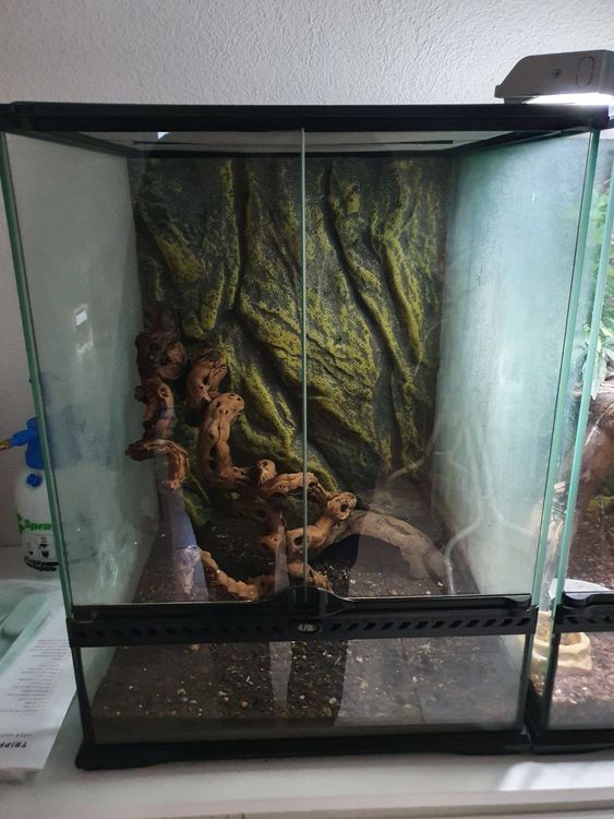 Exo Terra Terrarium Kaufen auf Ricardo