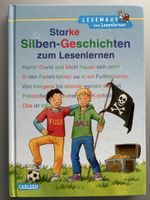Silben-Geschichten zum Lesenlernen, Lesemaus, top Zustand