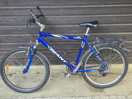 Fahrrad Herren / Mountainbike / Velo / Giant