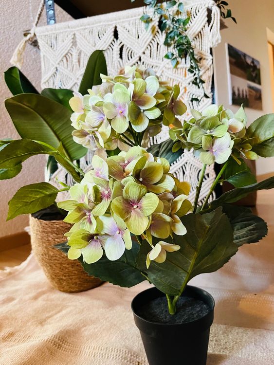 Künstliche Hortensie von der Ikea Kaufen auf Ricardo