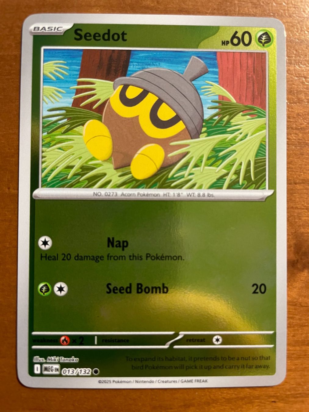 Pokémon Carte collezionabili: Pokemon Seedot Reverse (Versand gratis) – Nuovo (secondo la descrizione) da Chur venduto da Angerson
