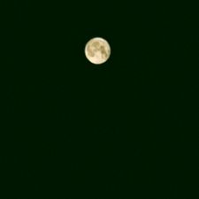 Profile image of kse_nt8n