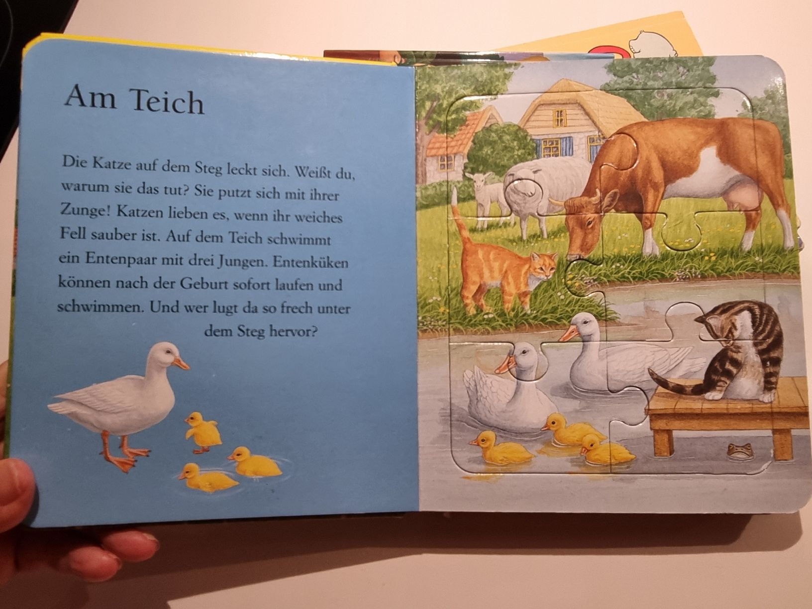 Livres: 3 Kinderbücher – D'occasion à Steinen par turbogeiss99 5