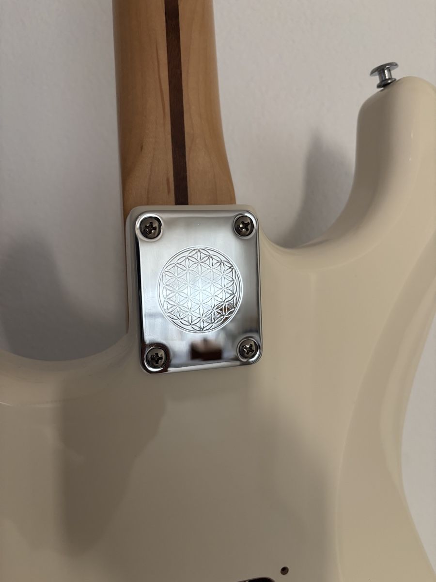 Fender Strumenti musicali: Fender Ed O'Brien Sustainer Stratocaster, Olympic White – Nuovo (secondo la descrizione) da Visp venduto da Toro6 2