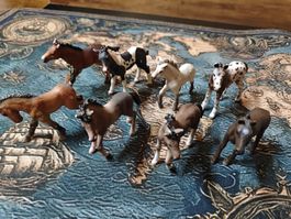 7 Schleich, 1 Bully Pferdefohlen