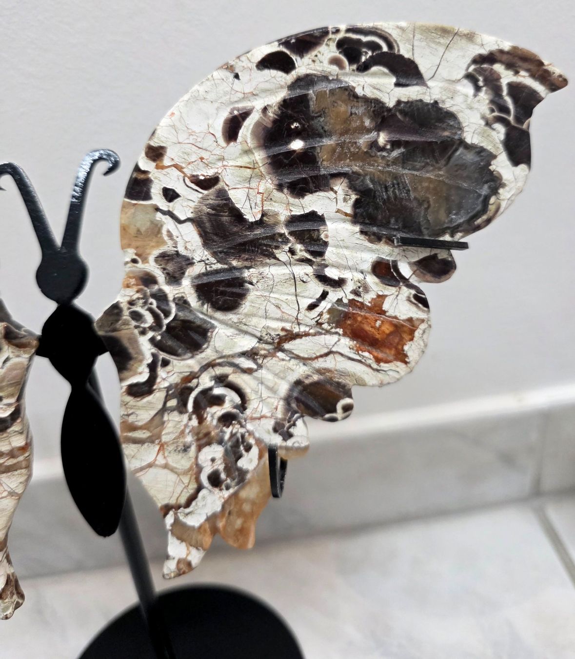Minerali & Pietre curative: Money Agate Schmetterling – Nuovo e nell'imballaggio originale da Matzingen venduto da Shay_Crystalz 3