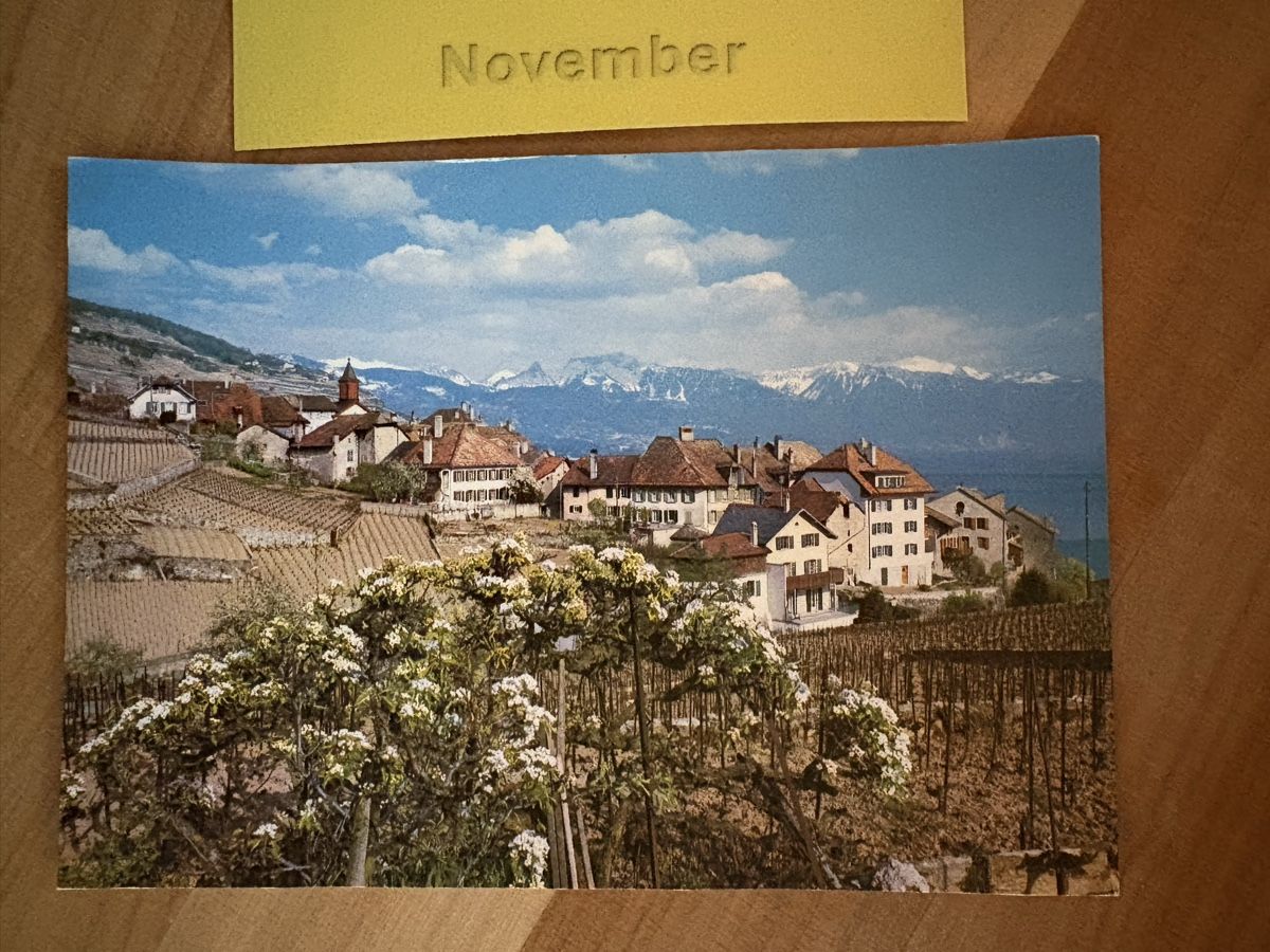Cartoline postali: AK von Rivaz Lac Léman – Usato da Rümlang venduto da Kartenpost1
