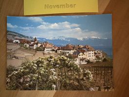 AK von Rivaz Lac Léman