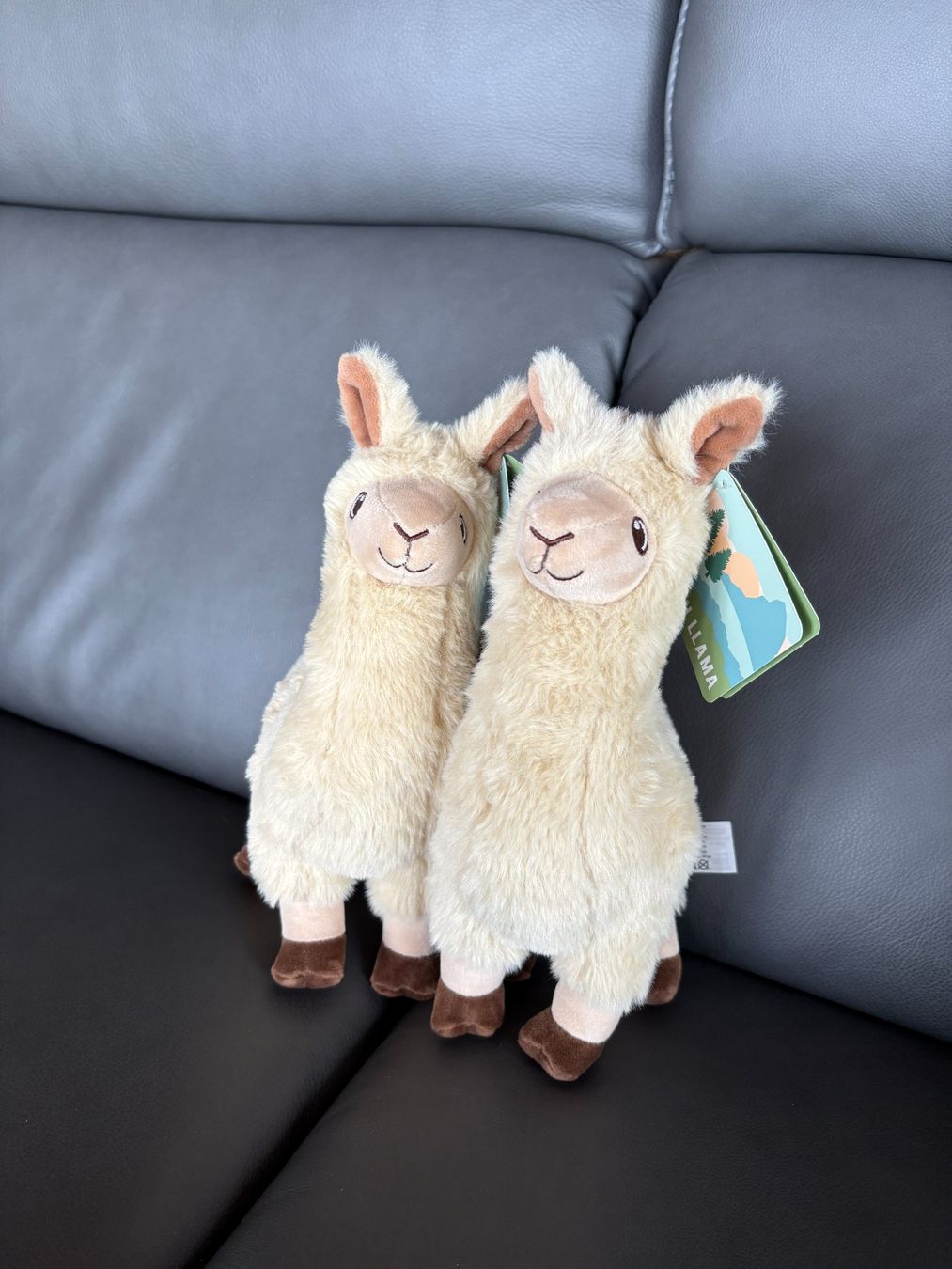 Coop Spielzeuge: Plüsch Lama Coop – Neu (gemäss Beschreibung) aus Mühleberg von cupra80 2