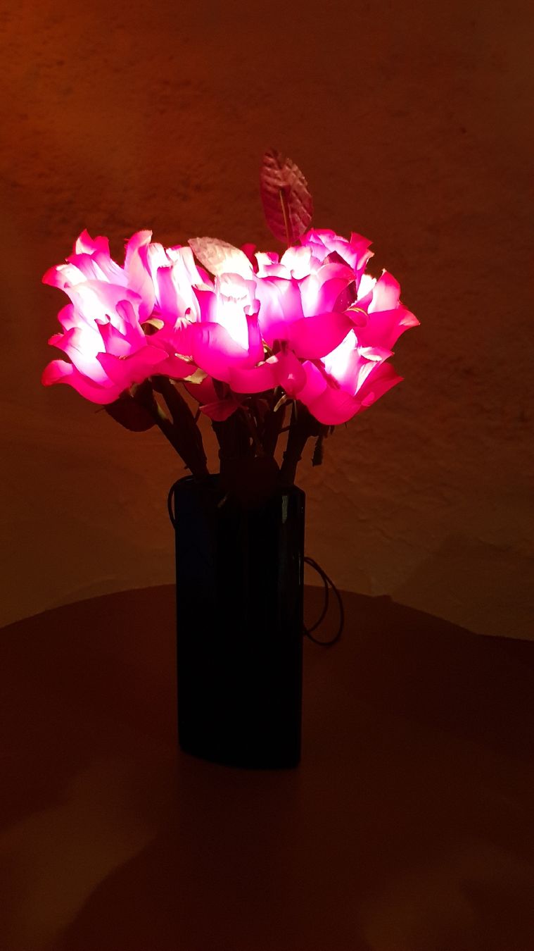 Ghirlande e barre luminose: Vase mit Lichterketten Blumen – Usato da Erlenbach ZH venduto da wem_6f9c 1