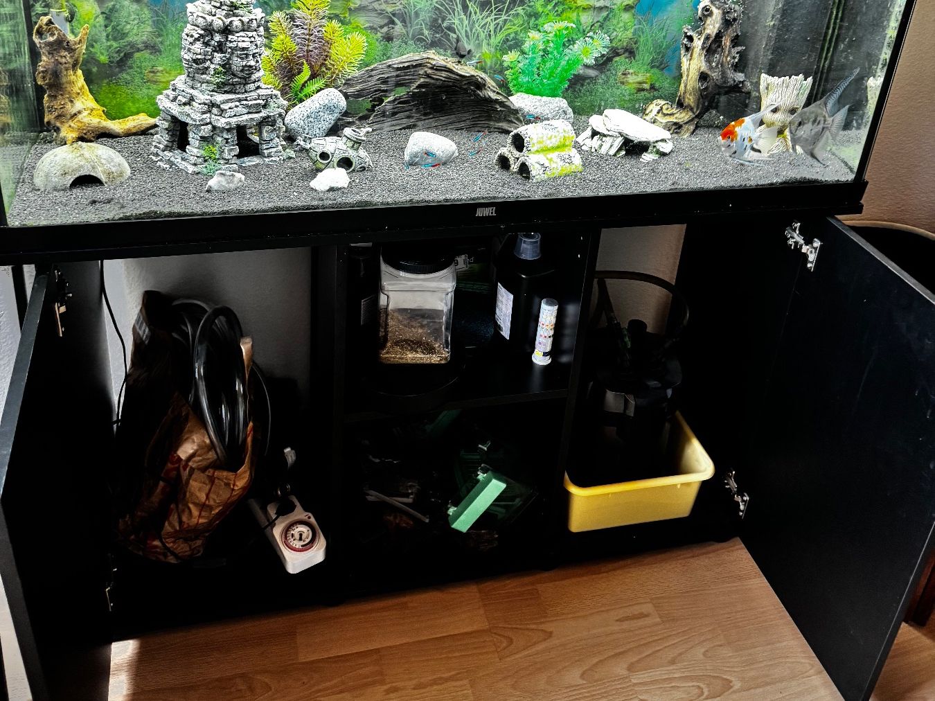 Aquarium: Aquarium eau douce (prix discutable) – D'occasion à Lausanne par gre_97wx 3