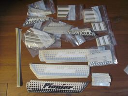 Lot Mofa TIGRA PIONIER Logo Emblem Abziehbilder MORINI