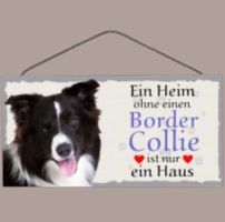 🔥 BORDER COLLIE Holzschild mit Kordel 🎀 12x25cm OVP 🔥