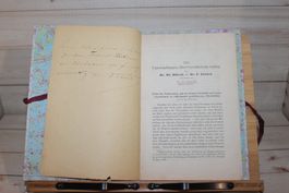 Untersuchungen über Coccobacteria Septica