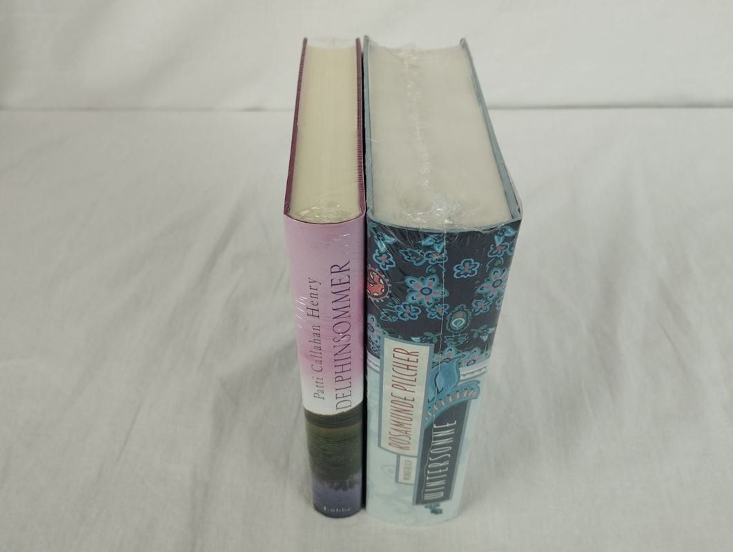 Livres: Romane "Delphinsommer" und "Wintersonne" – Neuf (Voir description) à Schübelbach par Restwert_Schubelbach 5