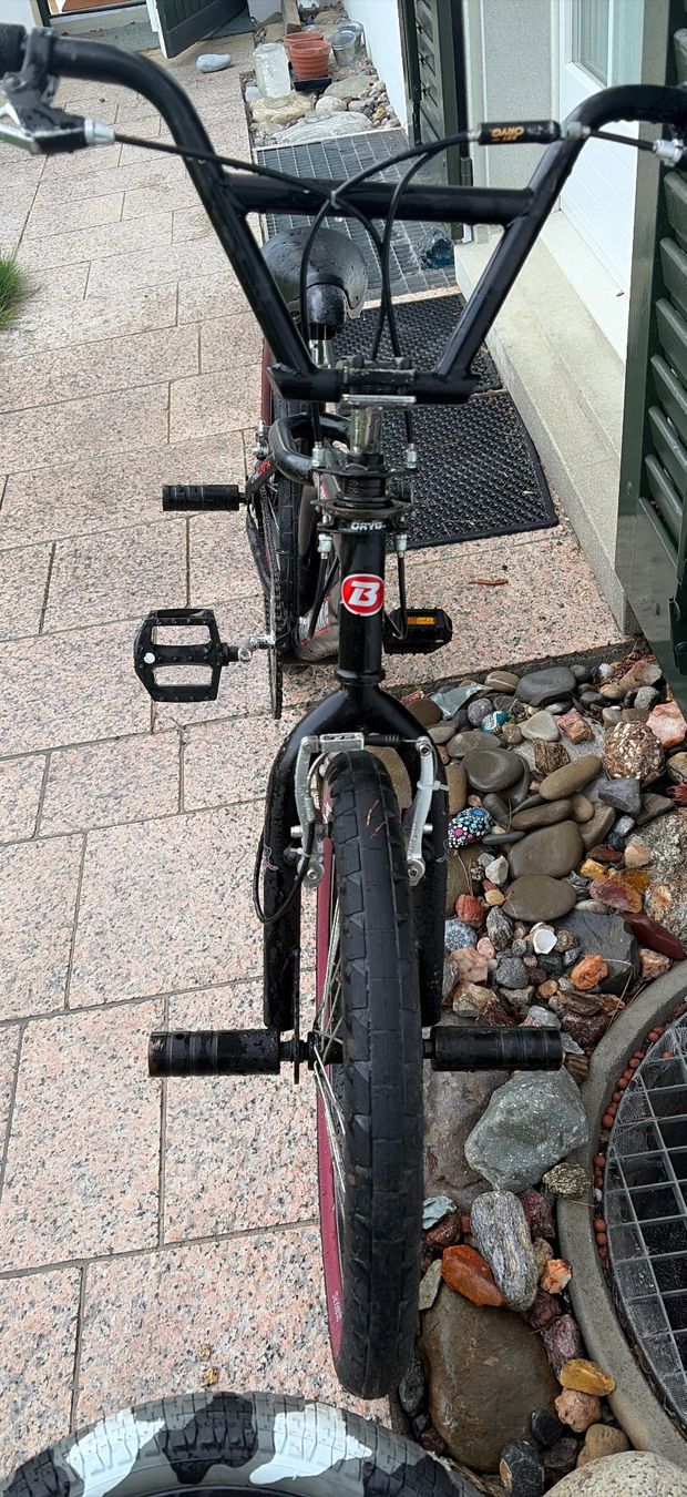 Biciclette: BMX Schwarz – Usato da Obfelden venduto da Mustang-302 1