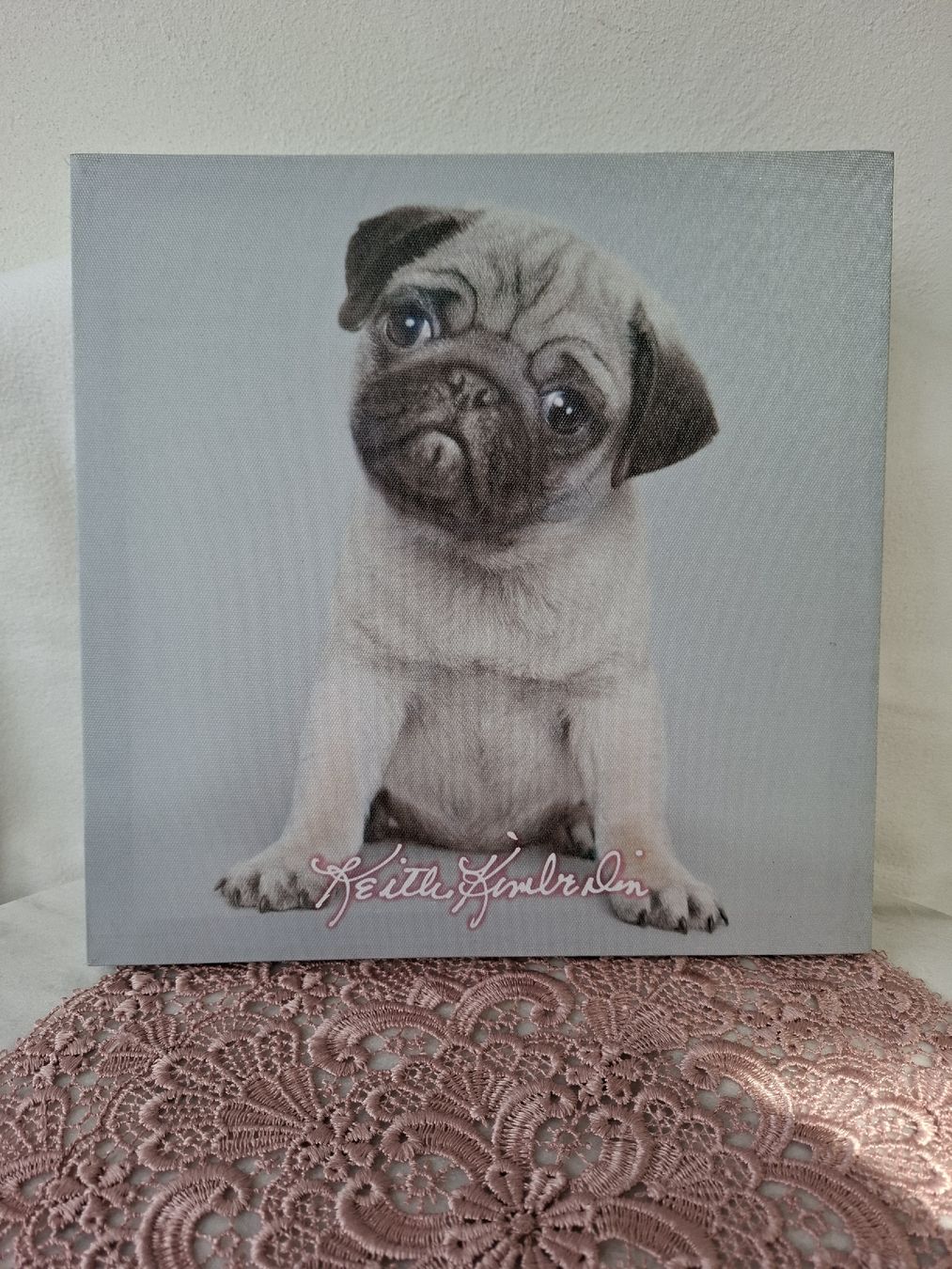 Foto & Immagini: Wandbild mit Mops-Motiv, Leinwand, neuwertig. – Nuovo (secondo la descrizione) da Zuchwil venduto da bvj_5t82