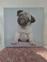 Wandbild mit Mops-Motiv, Leinwand, neuwertig.