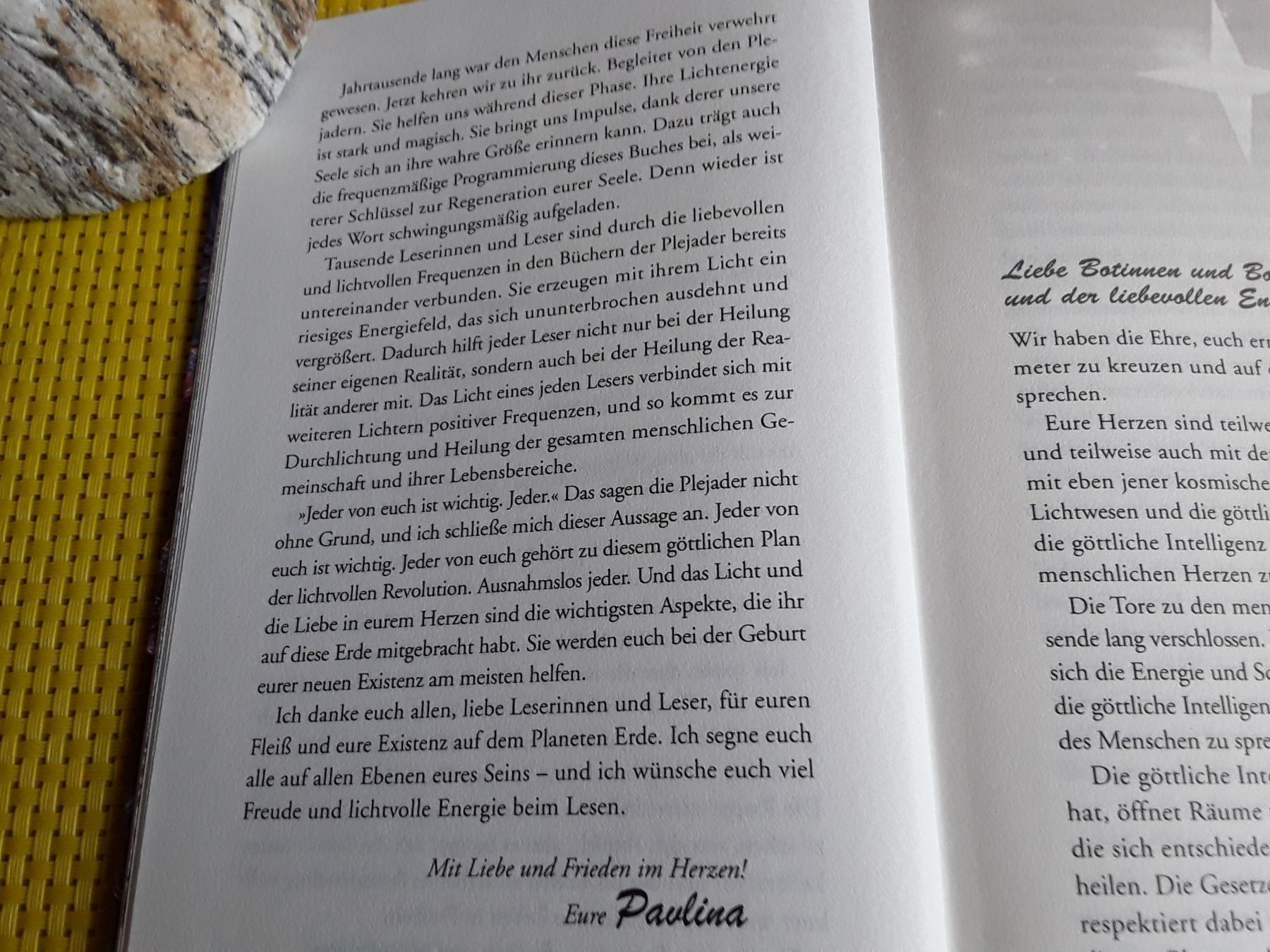 Libri: Lichtbotschaften von den Plejaden  6 – Nuovo e nell'imballaggio originale da Rebstein venduto da Buchsi03 5