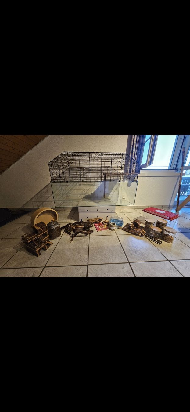 Gabbie, trasporto & Sicurezza: Nagertierkäfig – Usato da Hintermoos venduto da L.A.M