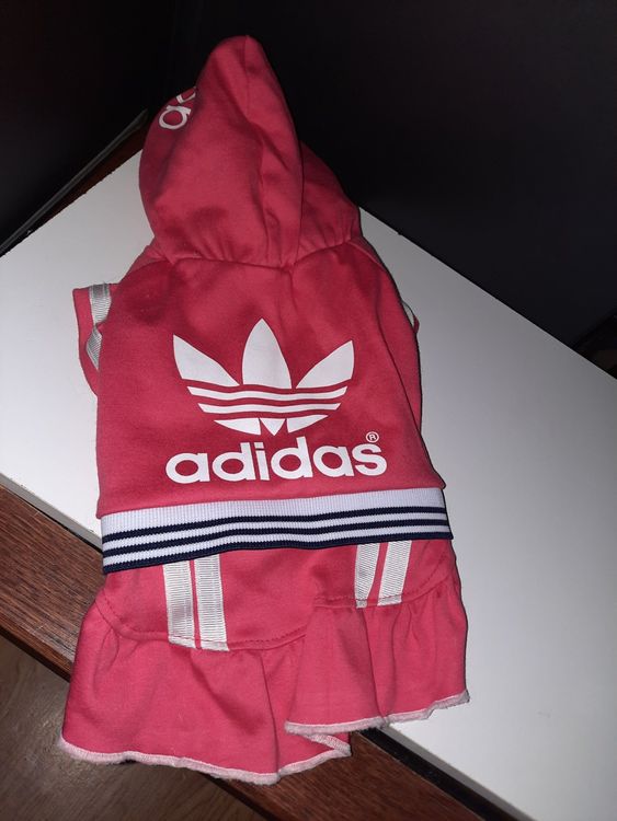 Tuta adidas shop per cani