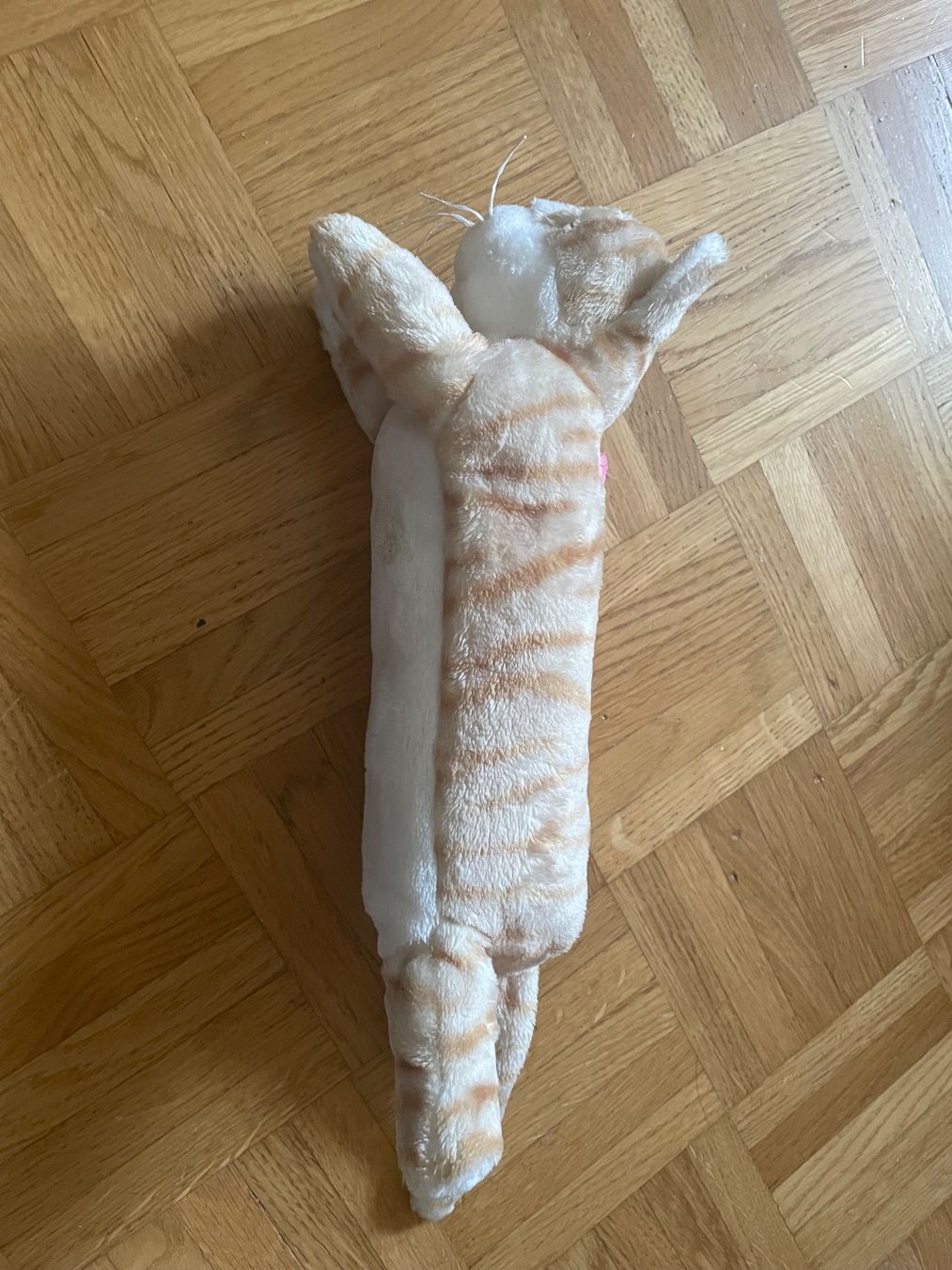 Giocattoli: Stifteettui in Form einer Katze - wie neu – Usato da Oberwil BL venduto da Timmytom10 2