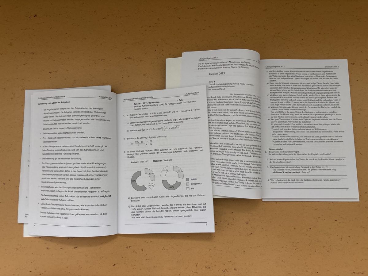Libri: Prüfungsvorbereitung Zürcher Mittelschule – Usato da Zürich venduto da del_gdm2 2