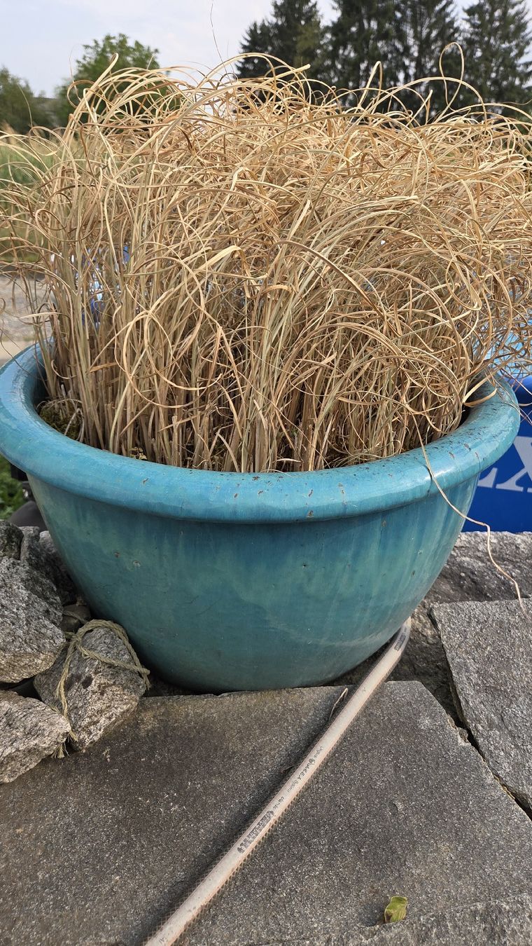 Blumentöpfe: 4 Töpfe für den Garten – Gebraucht aus Mellingen von Secost