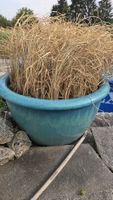4 Töpfe für den Garten