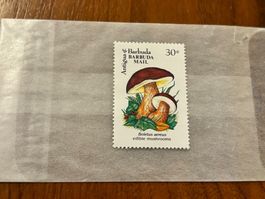 Briefmarke Steinpilz Bronze Röhrling Antigua Barbuda