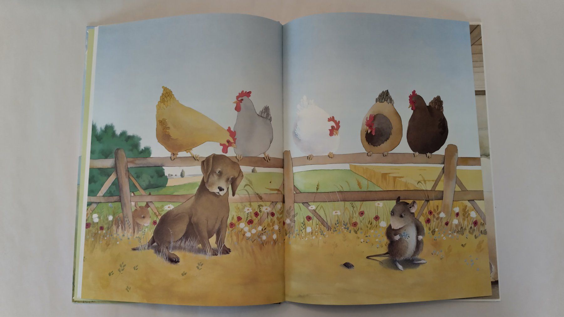 Libri: Maus Jonathan - Die freche Maus / Bilderbuch ab Fr. 8.- – Usato da Bellach venduto da JingleJerry 5